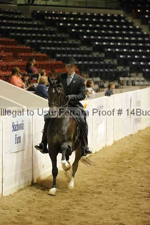 Proof Number 14buck_5211