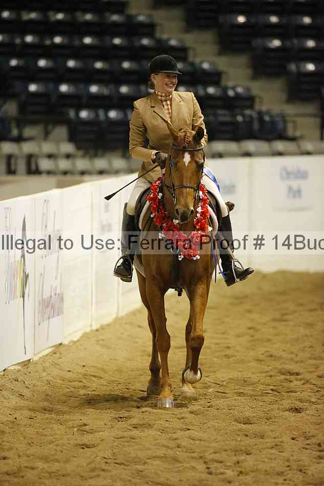 Proof Number 14buck_5275