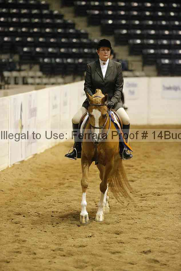 Proof Number 14buck_5293