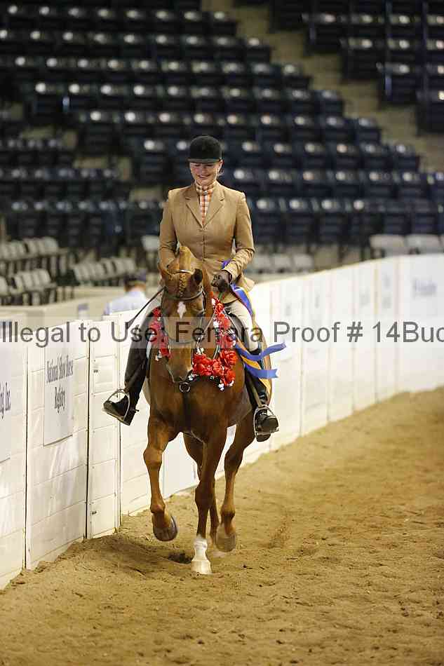 Proof Number 14buck_5315