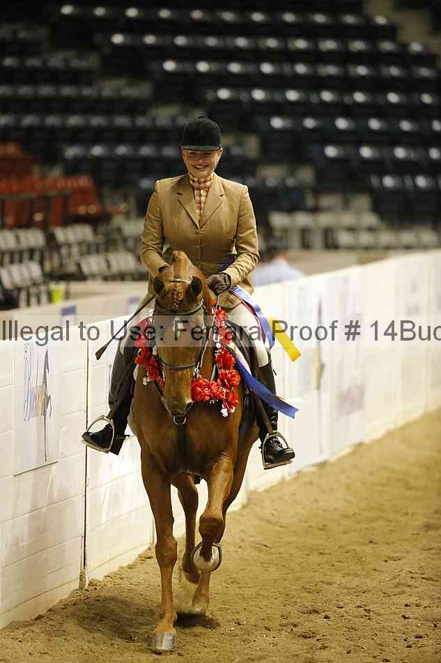 Proof Number 14buck_5316