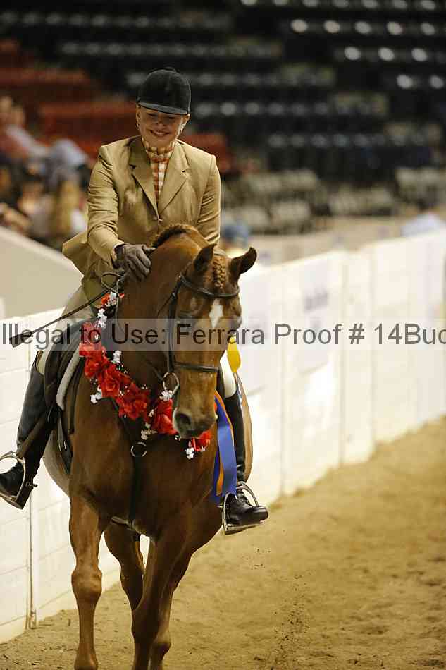 Proof Number 14buck_5319