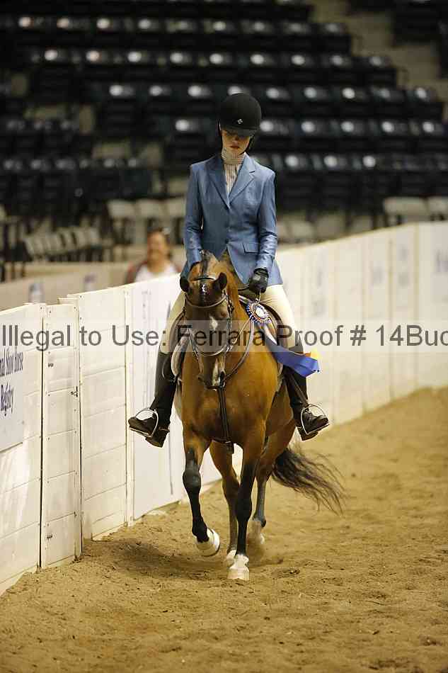 Proof Number 14buck_5389