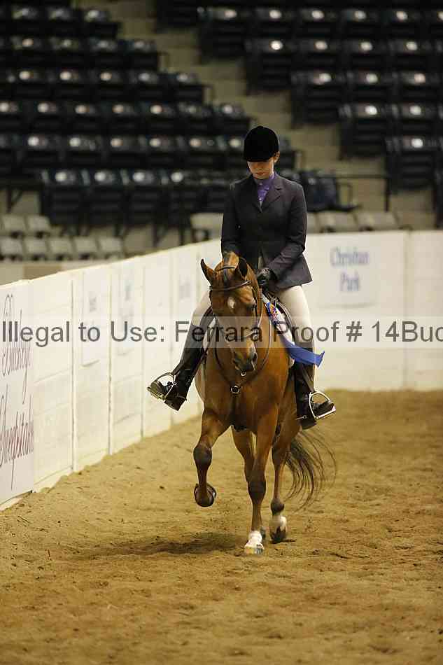 Proof Number 14buck_5404