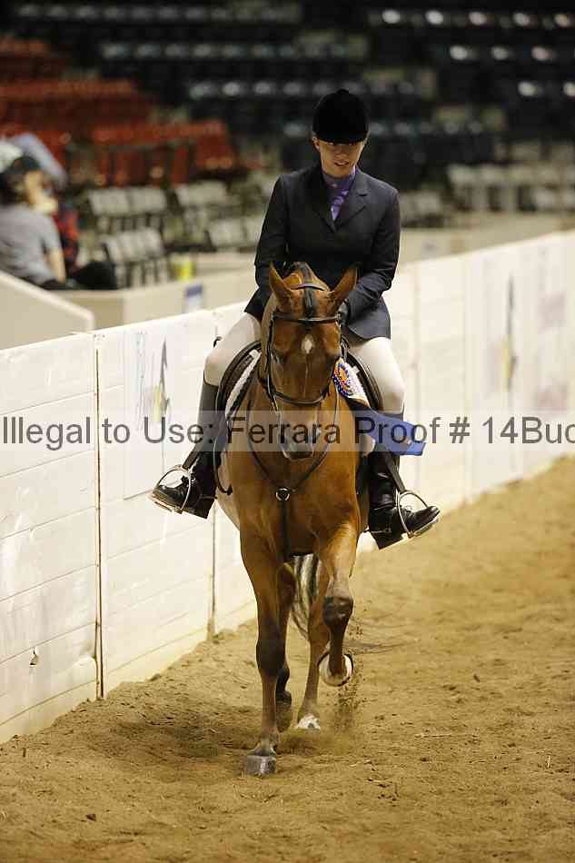 Proof Number 14buck_5405
