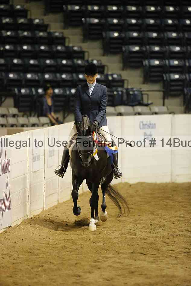 Proof Number 14buck_5409