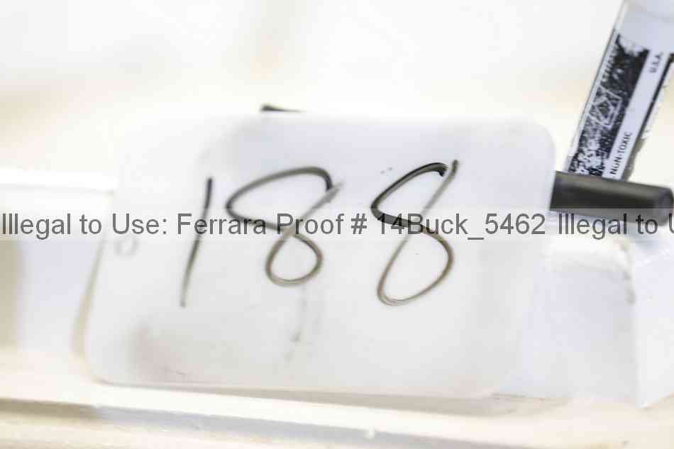 Proof Number 14buck_5462