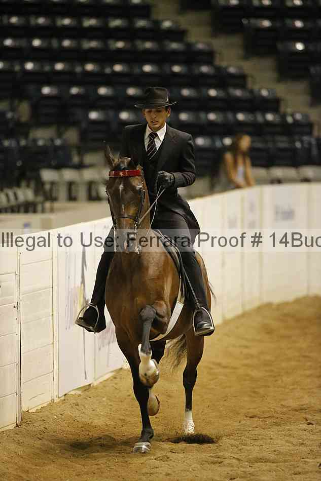 Proof Number 14buck_5479