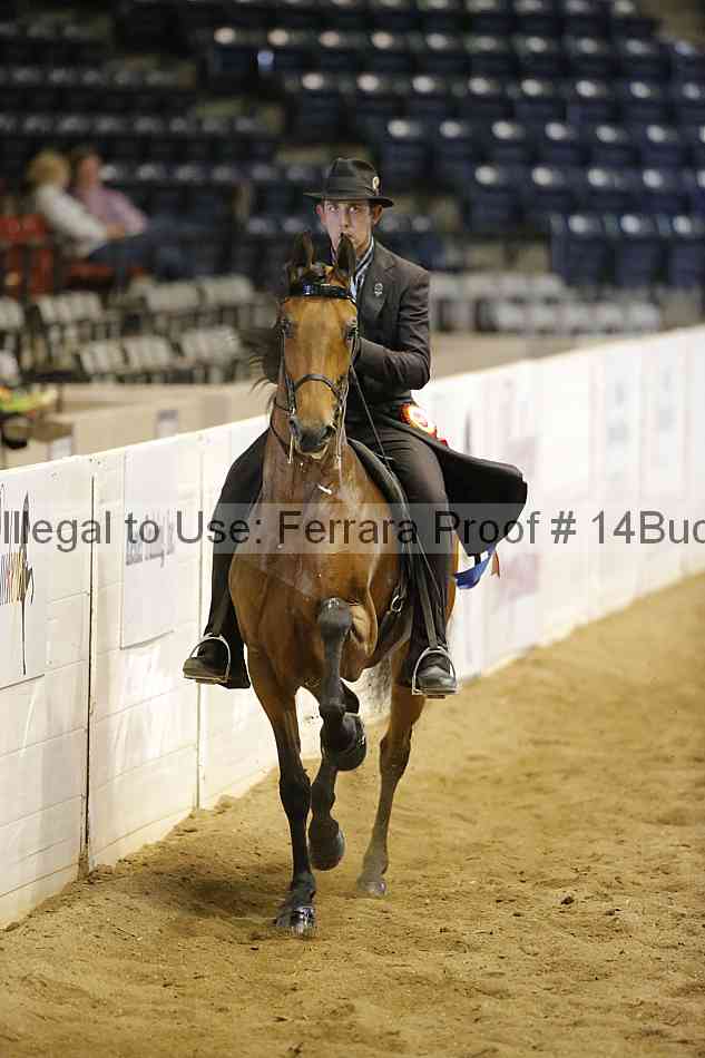 Proof Number 14buck_5492