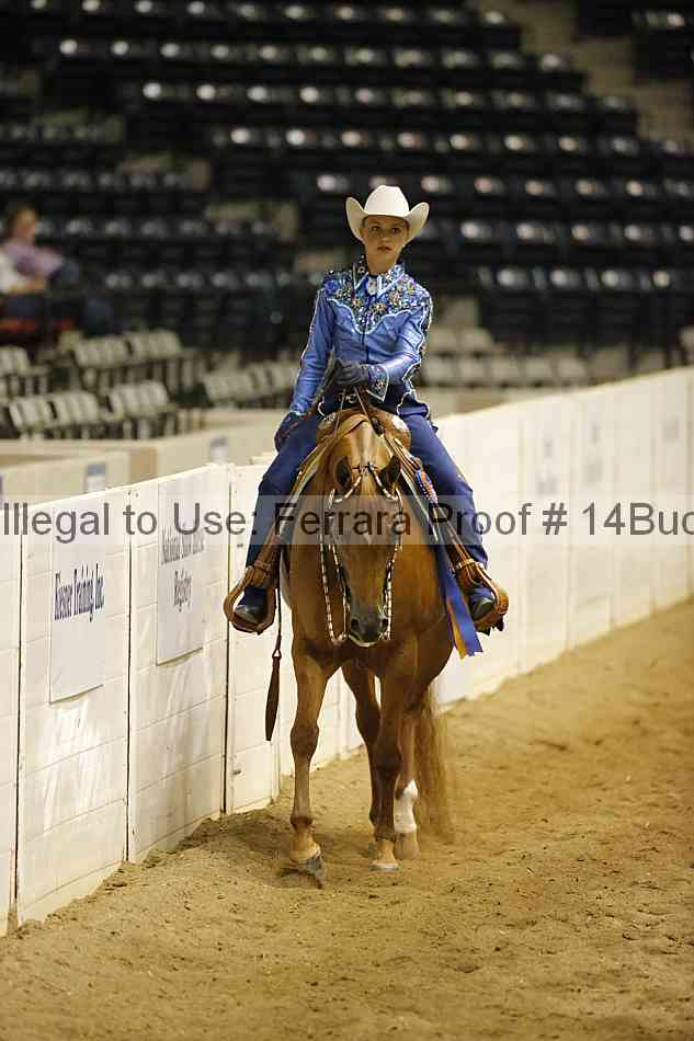 Proof Number 14buck_5536