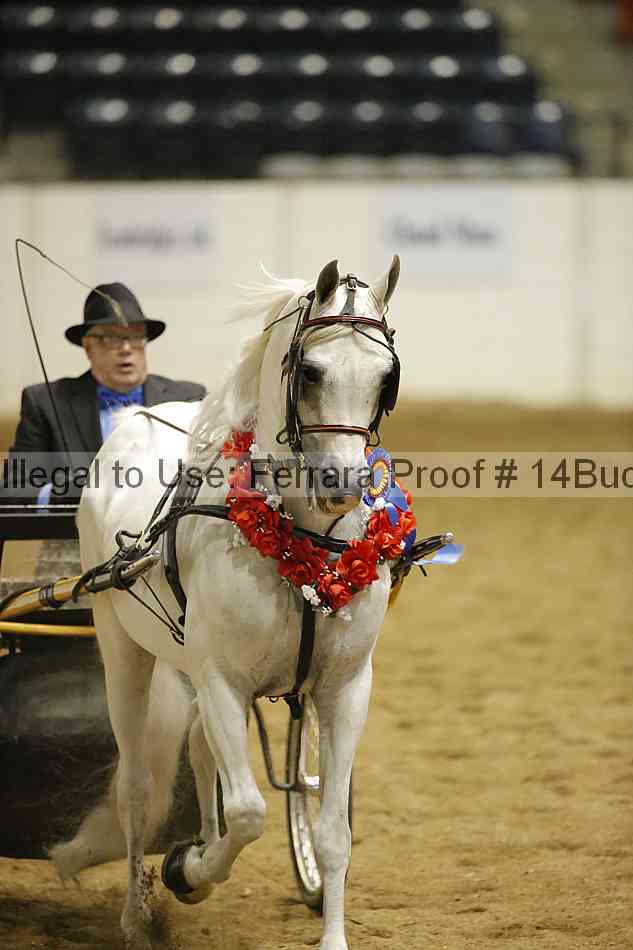 Proof Number 14buck_5607