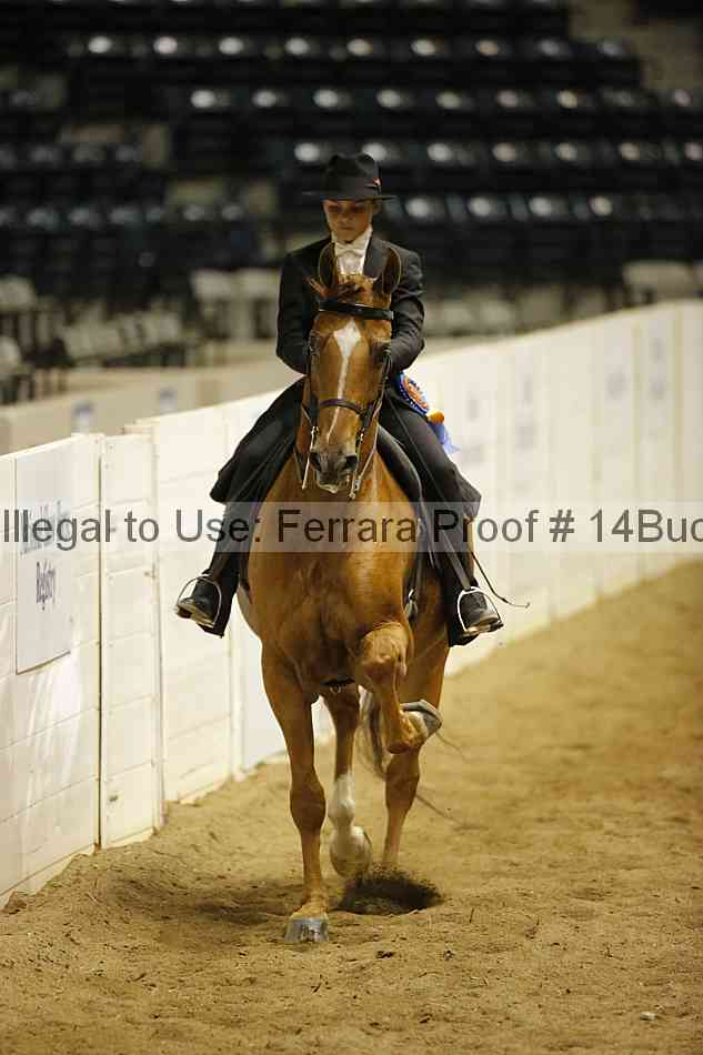 Proof Number 14buck_5703