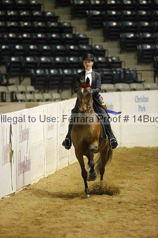 Proof Number 14buck_5707
