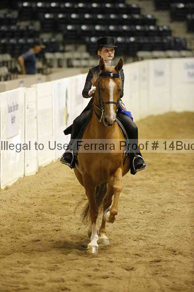 Proof Number 14buck_5712