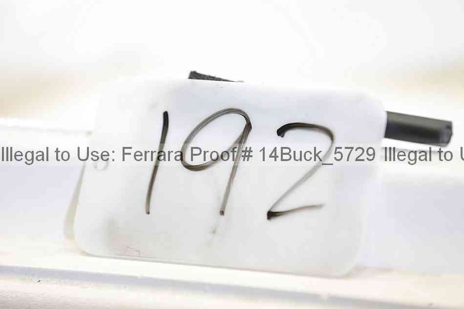 Proof Number 14buck_5729
