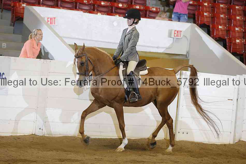 Proof Number 14buck_5792
