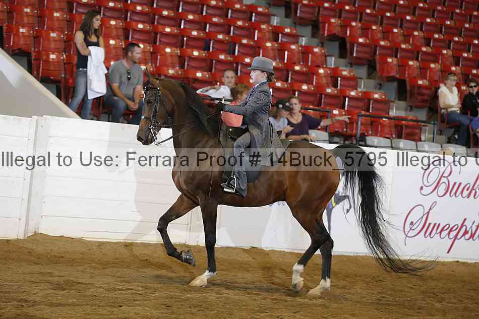 Proof Number 14buck_5795