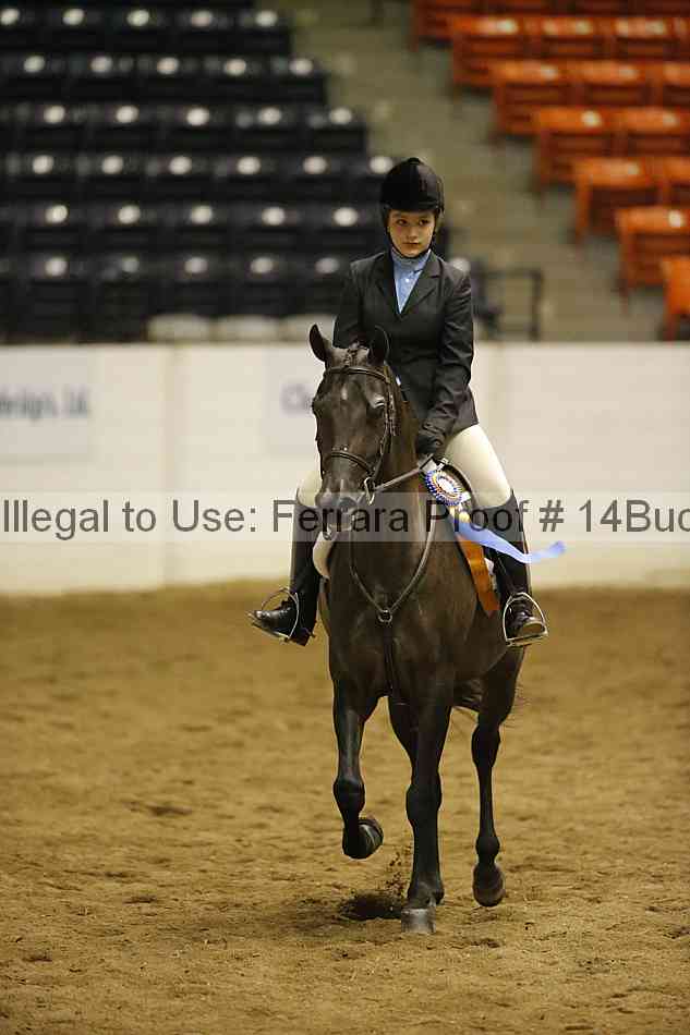 Proof Number 14buck_5821