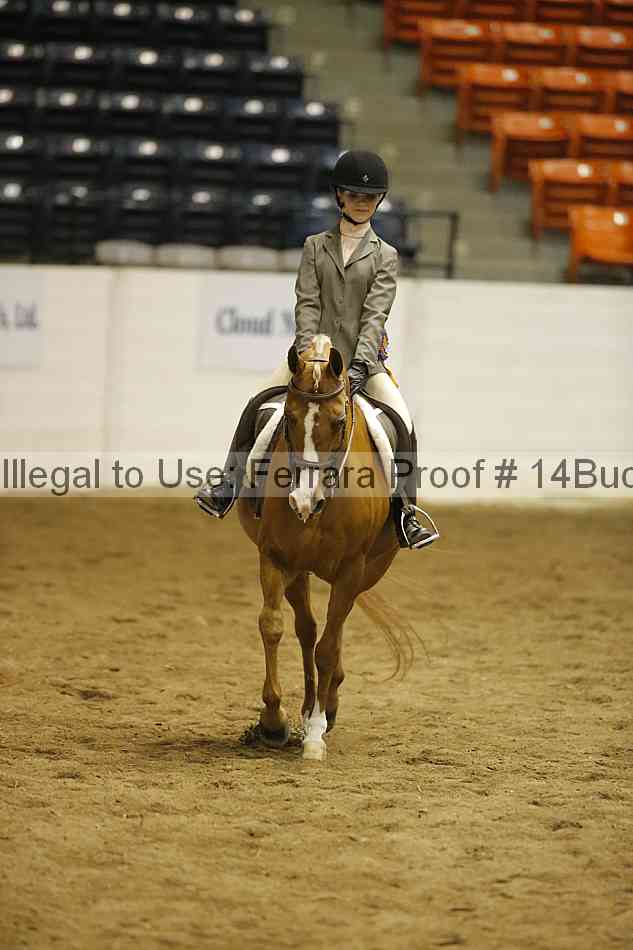 Proof Number 14buck_5837
