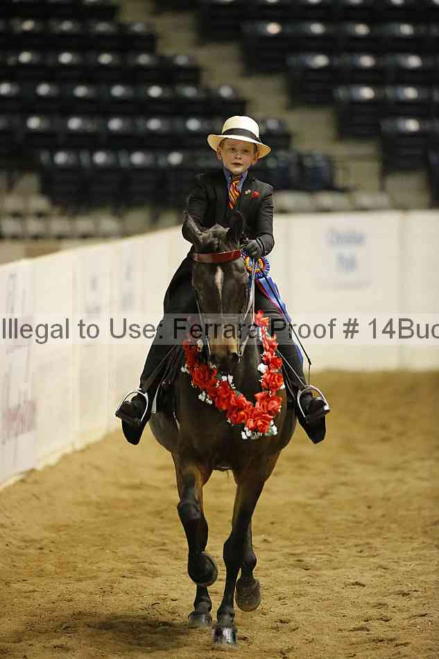 Proof Number 14buck_5851