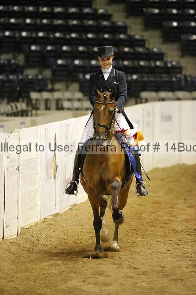 Proof Number 14buck_5908