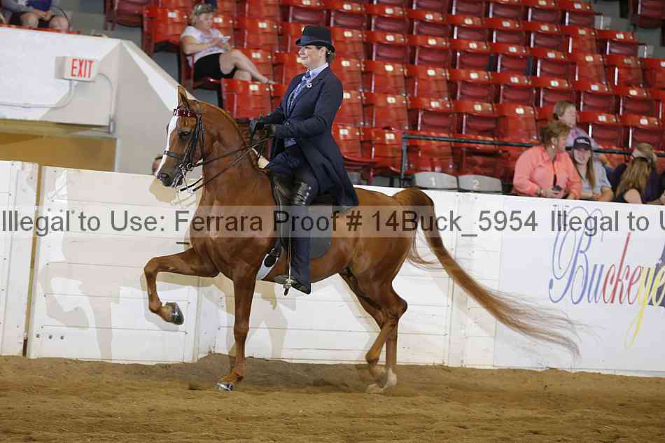 Proof Number 14buck_5954