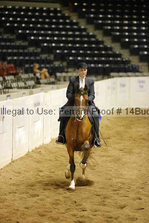 Proof Number 14buck_5985