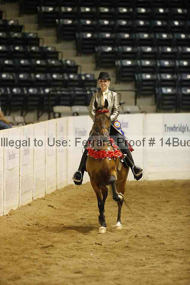 Proof Number 14buck_6010