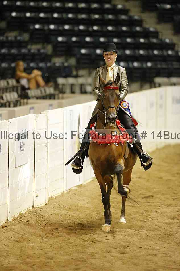 Proof Number 14buck_6011