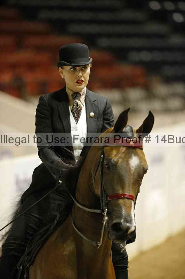 Proof Number 14buck_6100