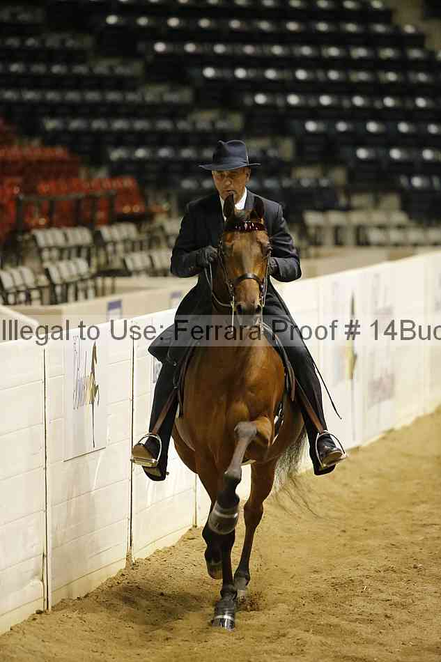 Proof Number 14buck_6106