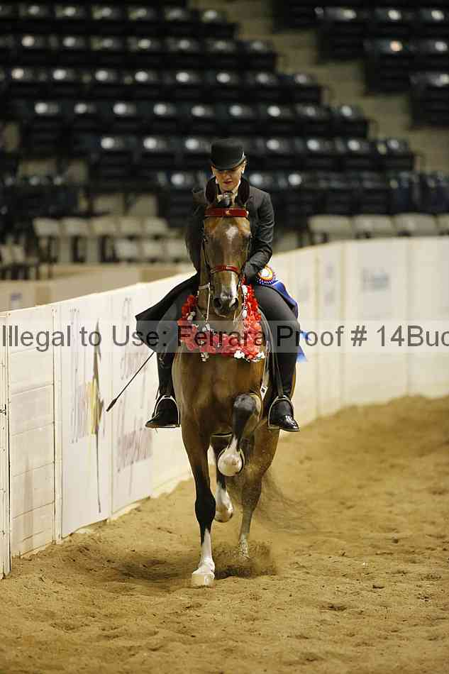 Proof Number 14buck_6118