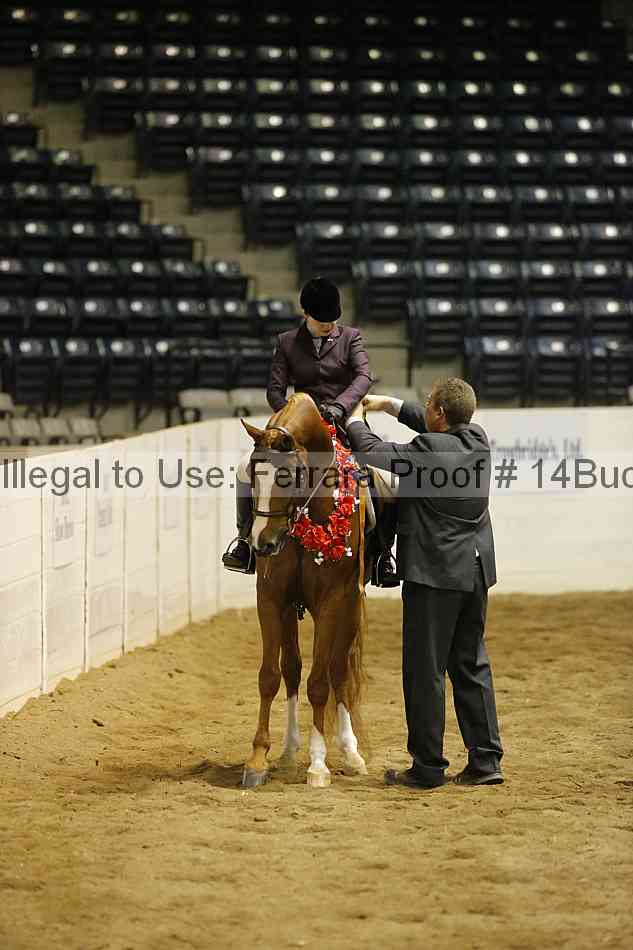 Proof Number 14buck_6142