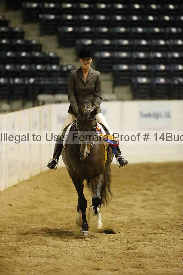 Proof Number 14buck_6156