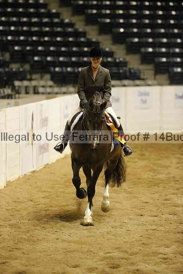 Proof Number 14buck_6157