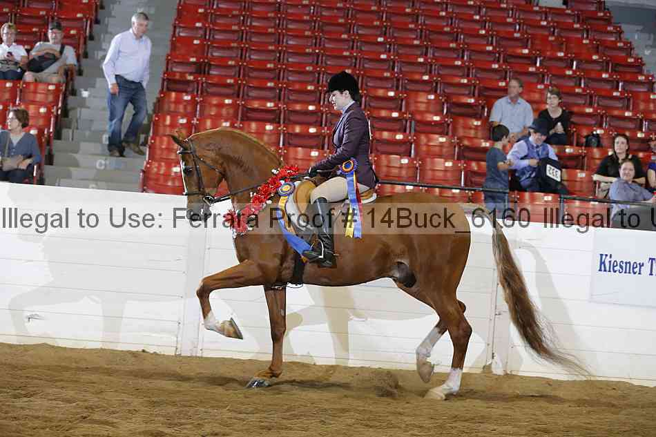 Proof Number 14buck_6160