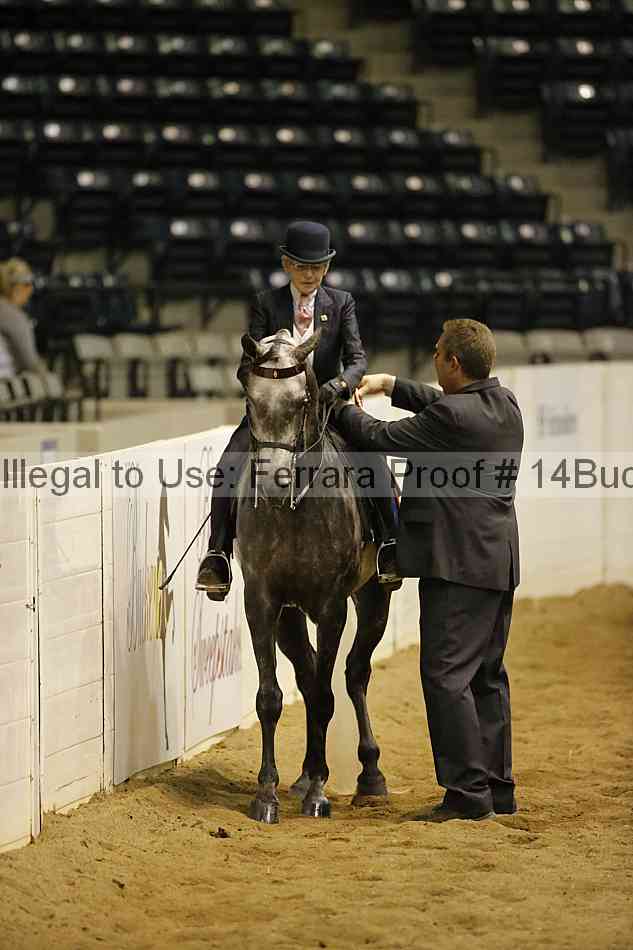 Proof Number 14buck_6189
