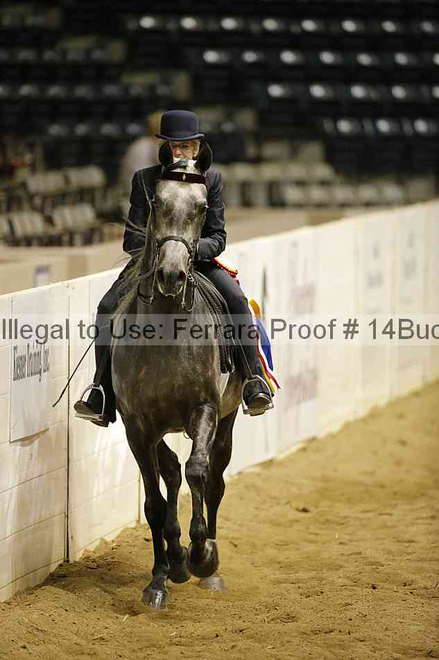 Proof Number 14buck_6191