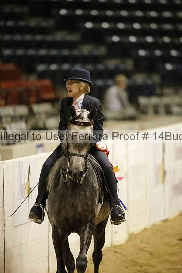 Proof Number 14buck_6193