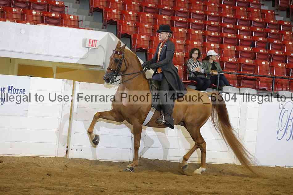 Proof Number 14buck_6304