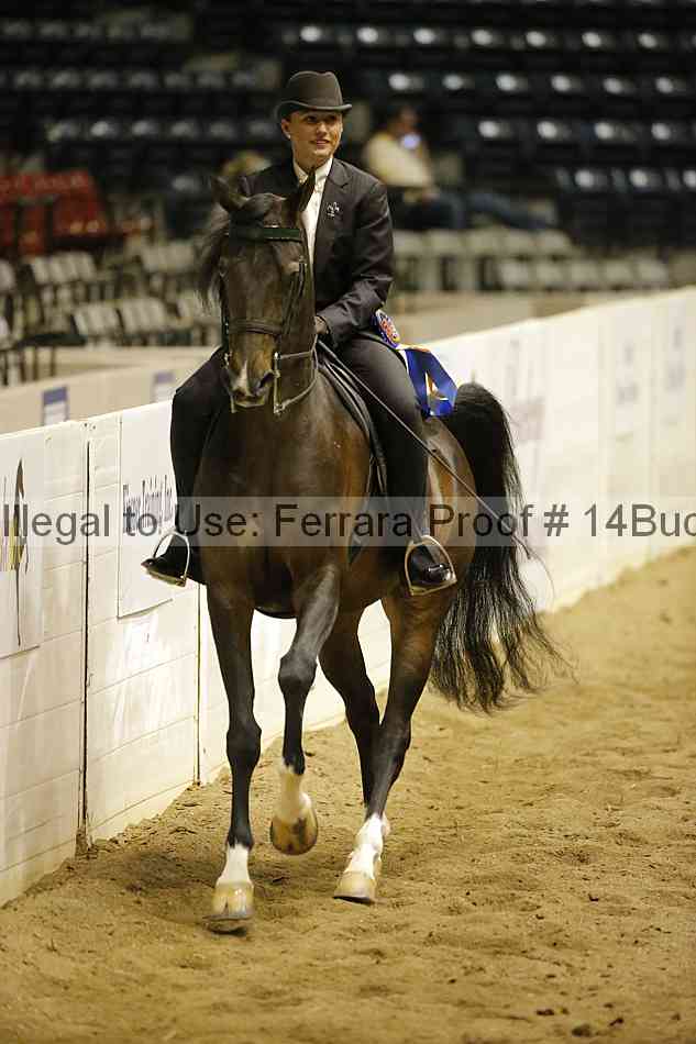 Proof Number 14buck_6339