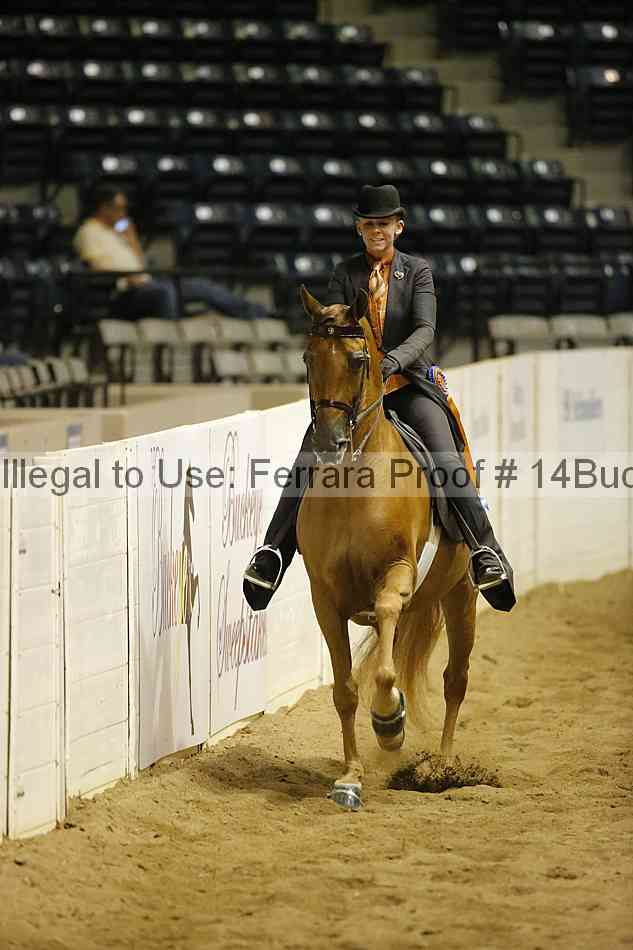 Proof Number 14buck_6350