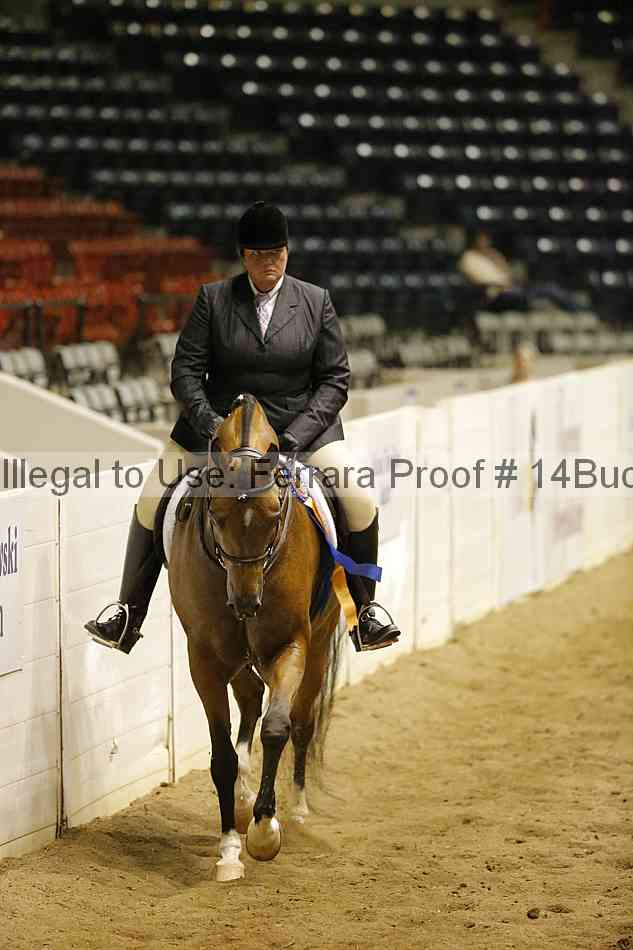 Proof Number 14buck_6414