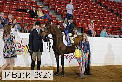 14buck_2925 thumbnail