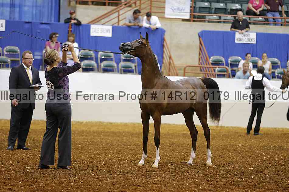 Proof Number 14r12_0179