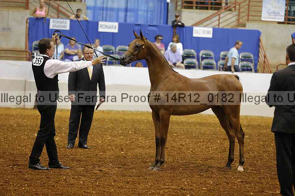 Proof Number 14r12_0182