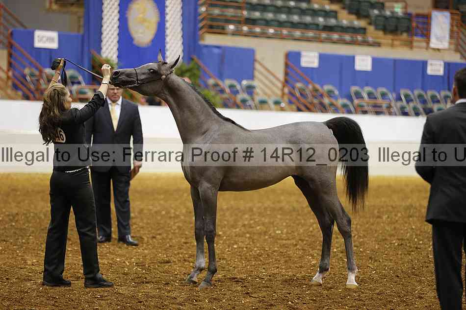 Proof Number 14r12_0203