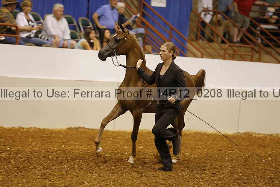 Proof Number 14r12_0208