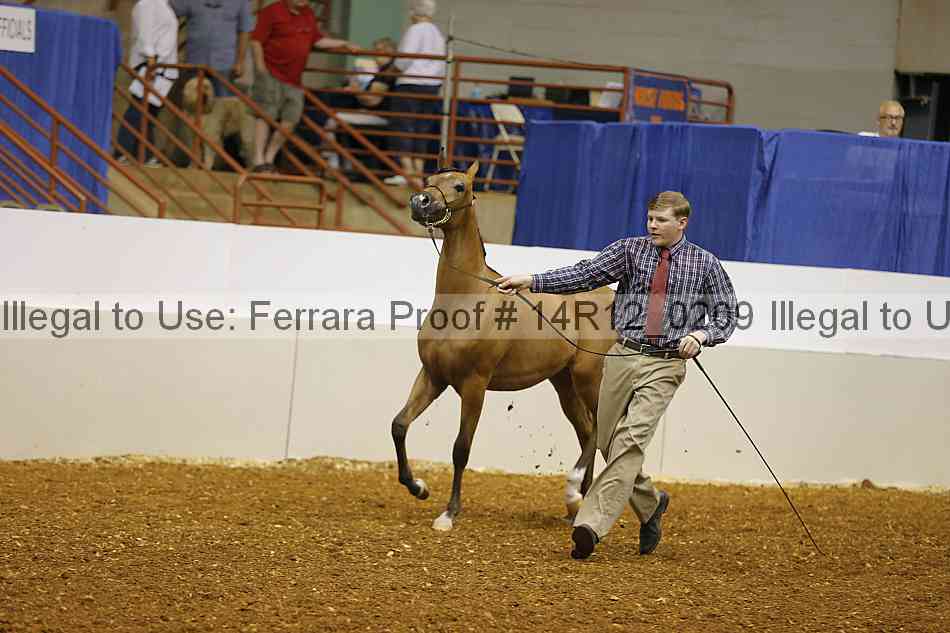 Proof Number 14r12_0209