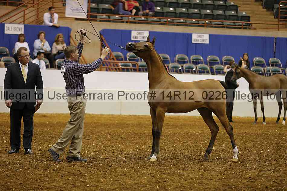 Proof Number 14r12_0226